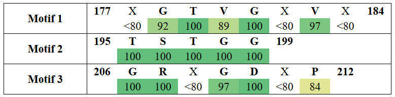 motifs2-14